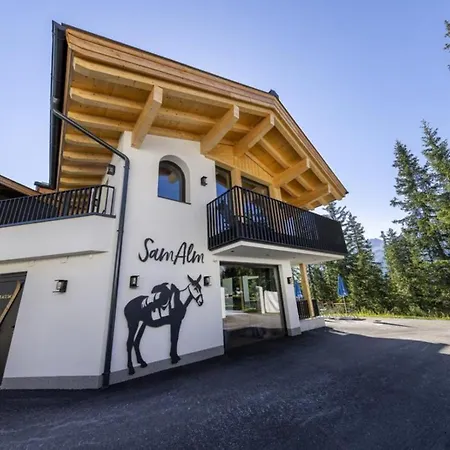 Sam Alm 3 Prázdninový dům